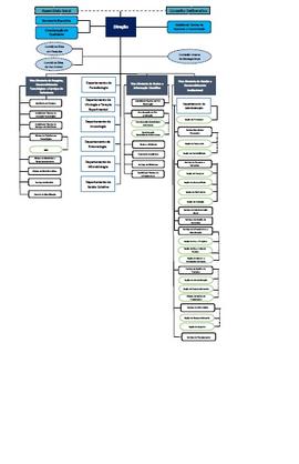 Organograma do Instituto Aggeu Magalhães