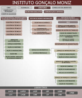Organograma Instituto Gonçalo Muniz