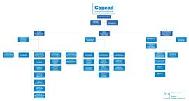 Organograma - COGEAD